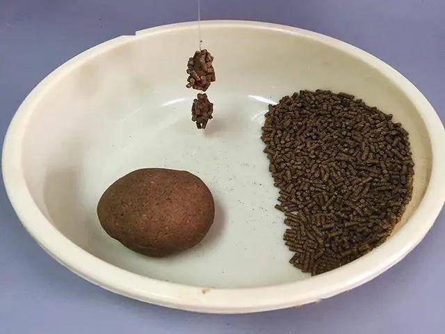 254aba7e30c747afac275cf82502a45e.jpeg