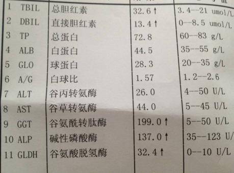 健康│教你看报告,如何读懂肝功能结果?