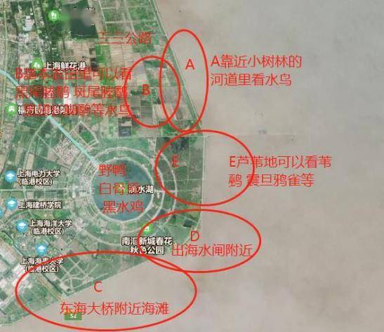 南汇区人口_南汇区地图(2)