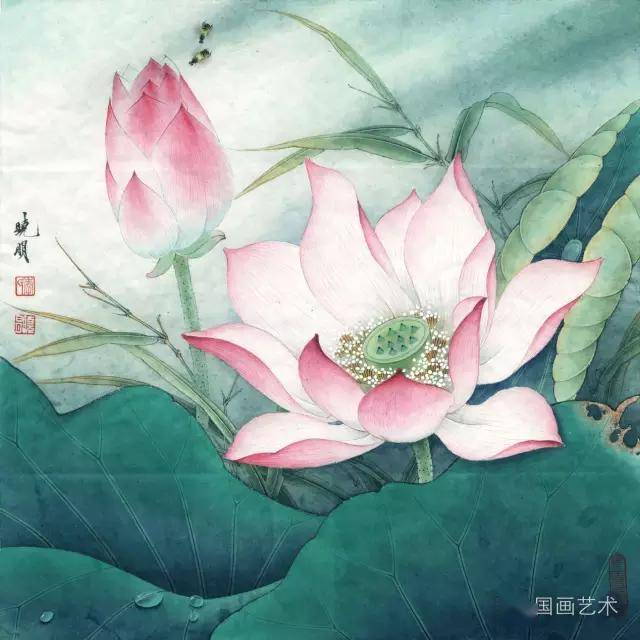 名家画荷:李晓明工笔荷花37张,百看不厌