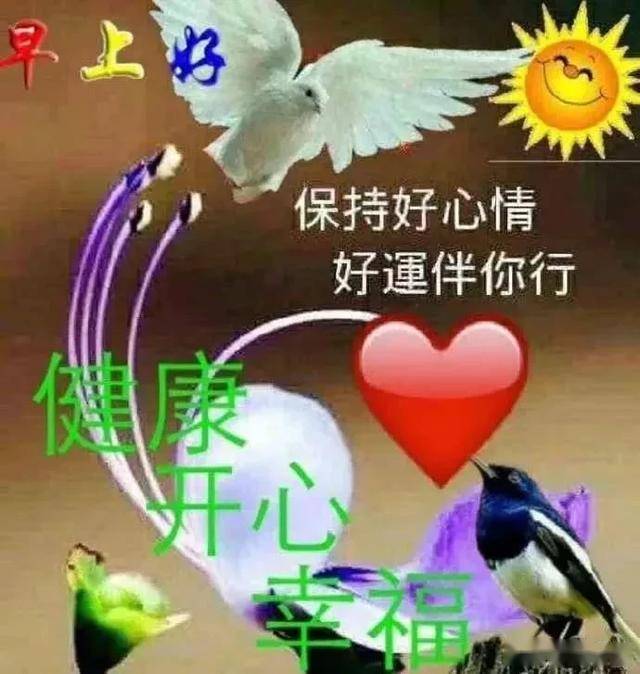 fda4820101f54cc9b8bf9a6bcdd05f05.jpeg