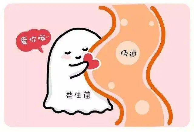 『澳洲』床头惊现澳洲小蓝瓶！“淘宝第一网红”张大奕怀孕又添实锤？