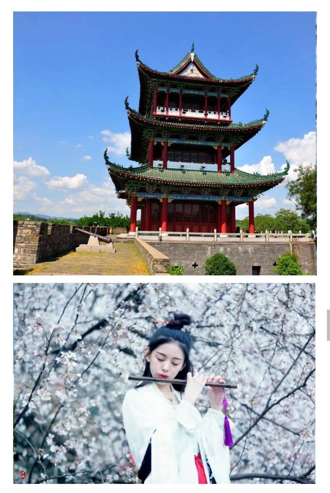 【风景独好】郁孤台下清江水,江南宋城惊艳美