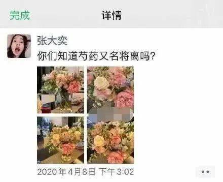 『澳洲』床头惊现澳洲小蓝瓶！“淘宝第一网红”张大奕怀孕又添实锤？