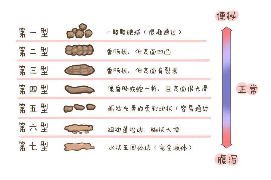 一定要观察便便性状,一般来说,表面光滑,像香肠或蛇一样的便便是正常