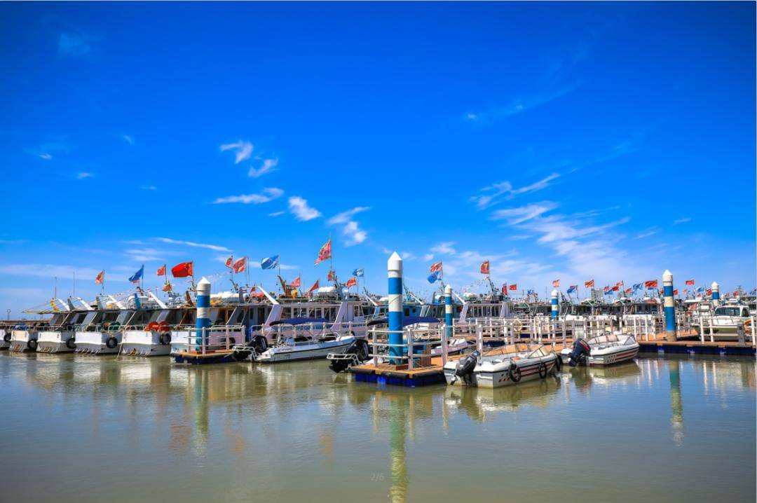 天地做笔沧海为墨来沧州渤海新区与自然共画人间盛景