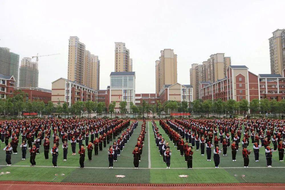 ——宁乡市金海小学2020年上学期实习教师