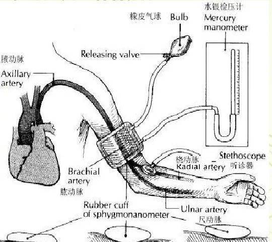 阳病治阴利用什么原理_阴疽是什么病(3)