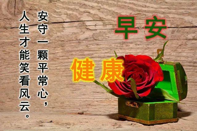 5月最新群发早上好问候语表情包动态图片鲜花带字,清早早上好问候语