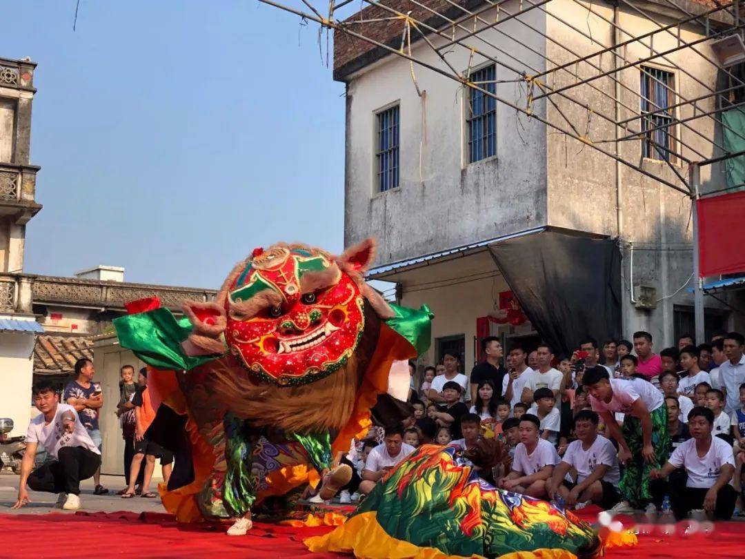 海陆丰舞狮之盖仔狮篇