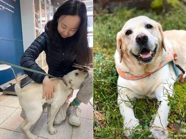 狗狗去世后，她忍痛到医院捐赠狗粮，竟遇见长得一摸一样的它
