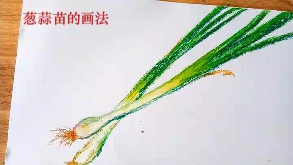 儿童画微课教学 葱蒜苗的画法