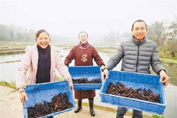 保定獭兔养殖致富_致富经养殖小龙虾_浙江养殖澳洲龙虾致富