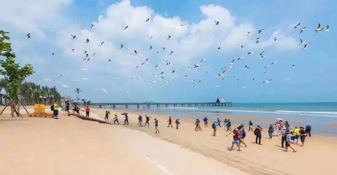 【一口价】188元2间湛江鼎龙湾海景房,醉美海边五月天