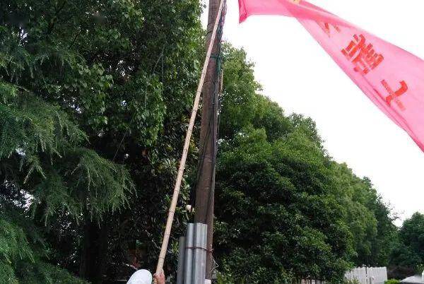 楼塔镇总人口(3)