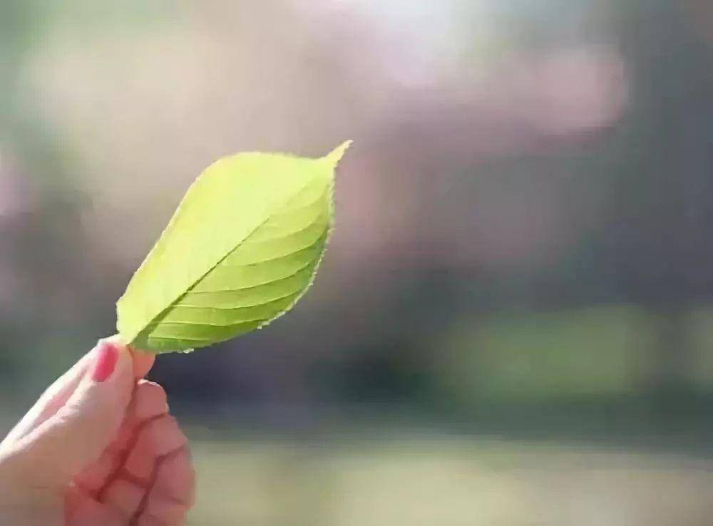 宁可低调,也别高调 保持低调的状态,说谦虚的话 高调做事,低调做人