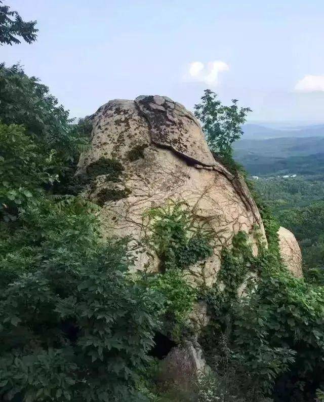 马山县人口_马山县的文化(3)