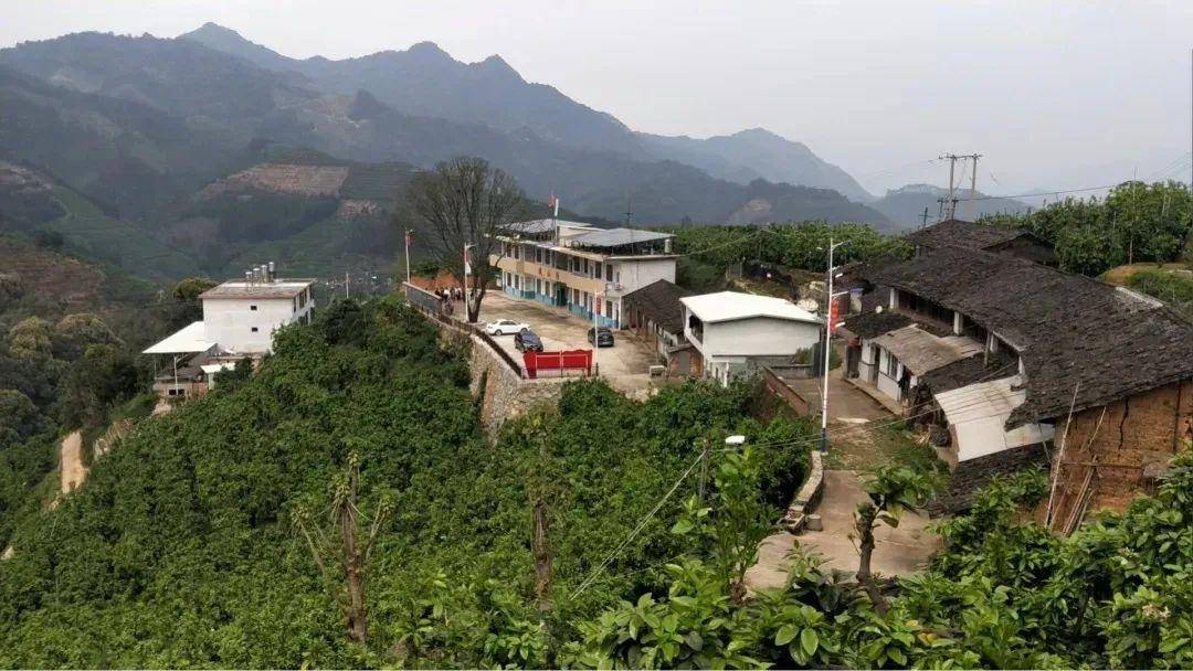 国强乡人口_少年强则国强图片
