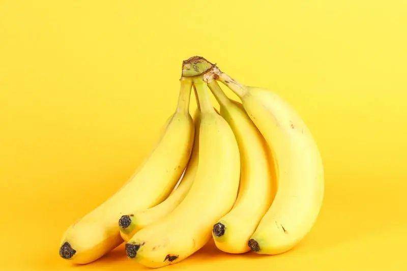香蕉什么时候采摘最好 2d55ee207a244b98a30abd96016c8b6c.jpeg