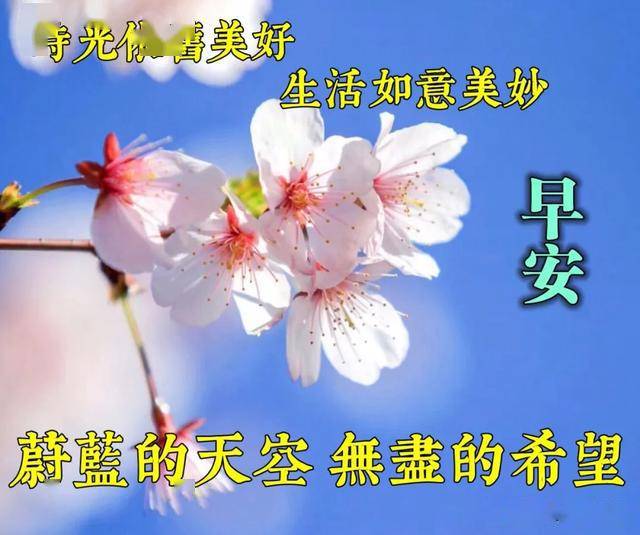 祝你早安简谱_祝你早安午安晚安视频(3)
