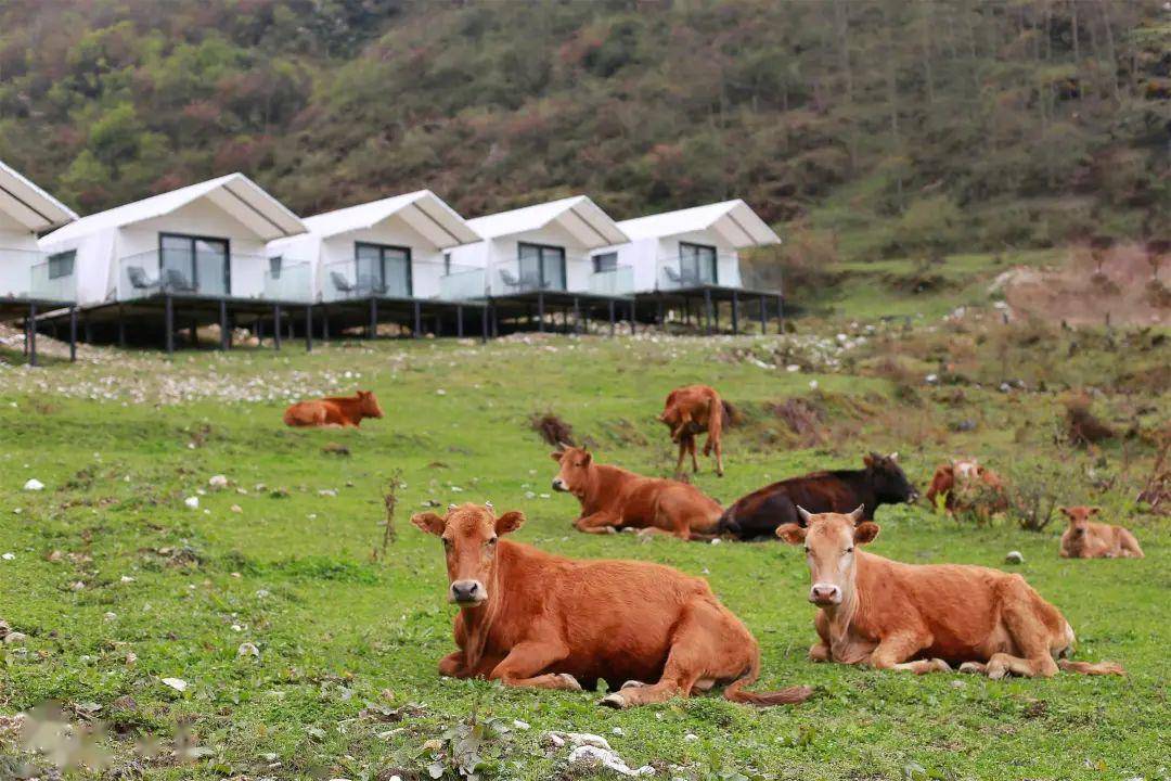 520宠粉不停爱你到山川湖泊浮云海子福利