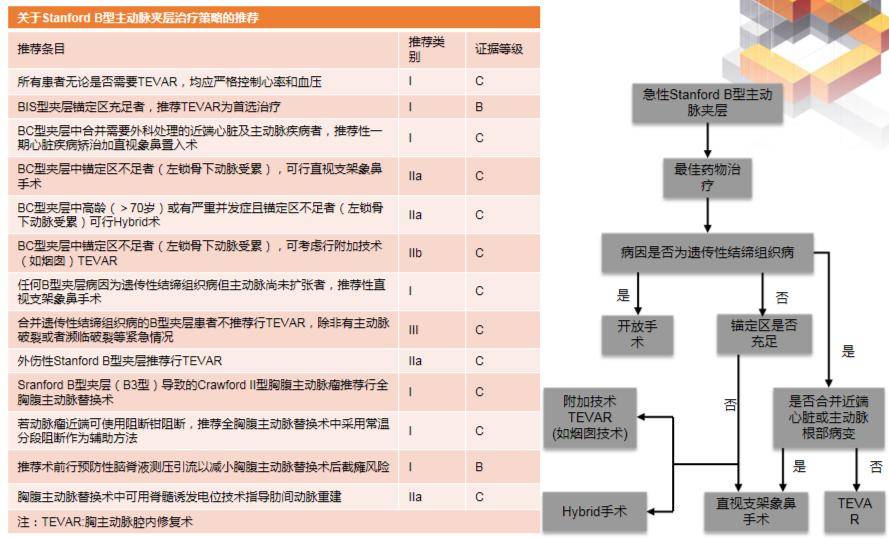 ecche课程 | 主动脉夹层治疗前沿速递