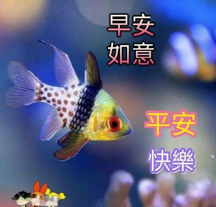 好看唯美的鲜花早上好动态图片带字 早安图片祝福问候