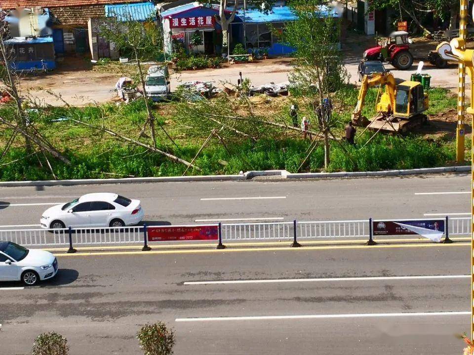 134枚发射消雹炮弹莒南大风雷雨后城区和县乡道路场景