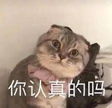 1e5fe49290e742ec818e8513a552f1f5.jpeg