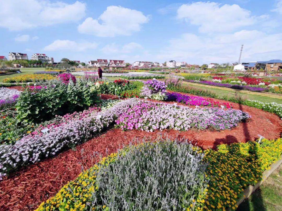 "迎花博 展花梦"——2020上海崇明国际新优花卉展在源