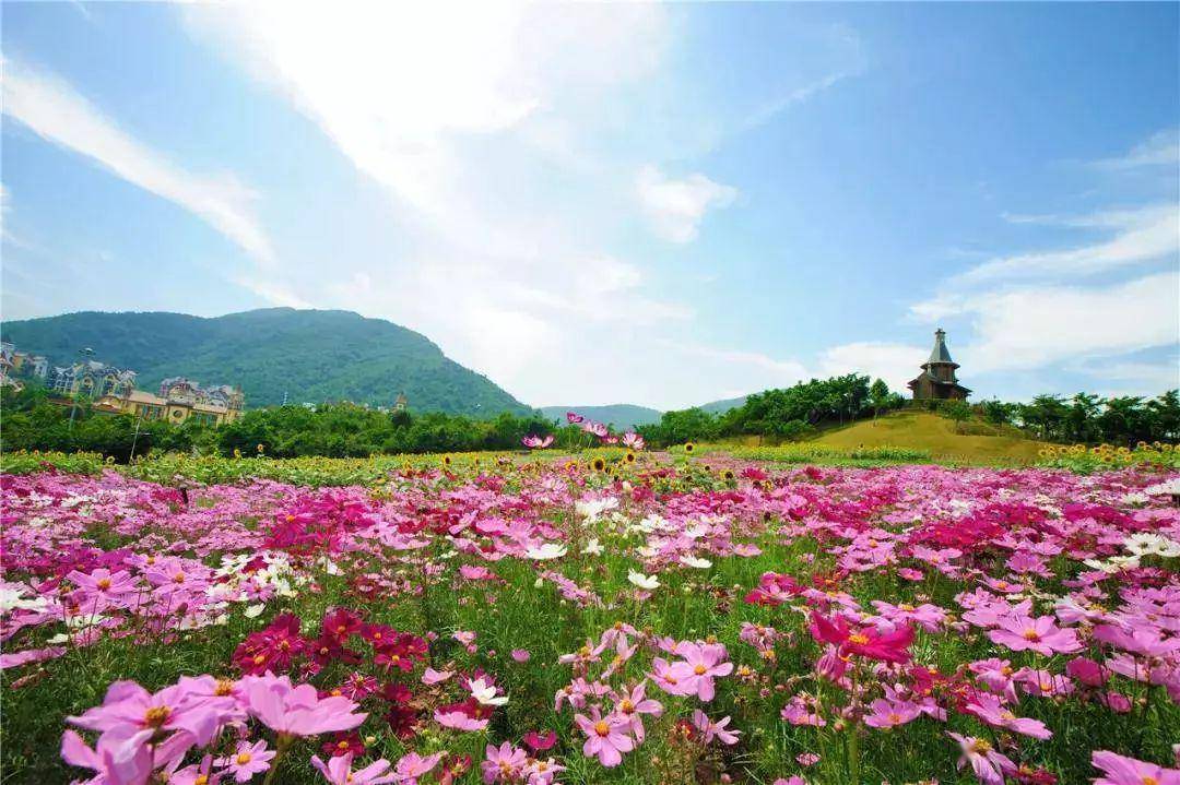 华侨城 | 泡温泉~四季花海任你游!￥998抢天麓湖湖景3