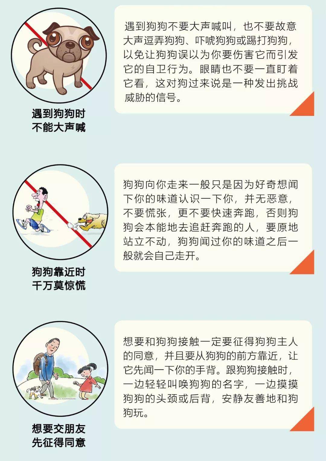 创城文明养犬爱它就要管好它这些点您知道吗