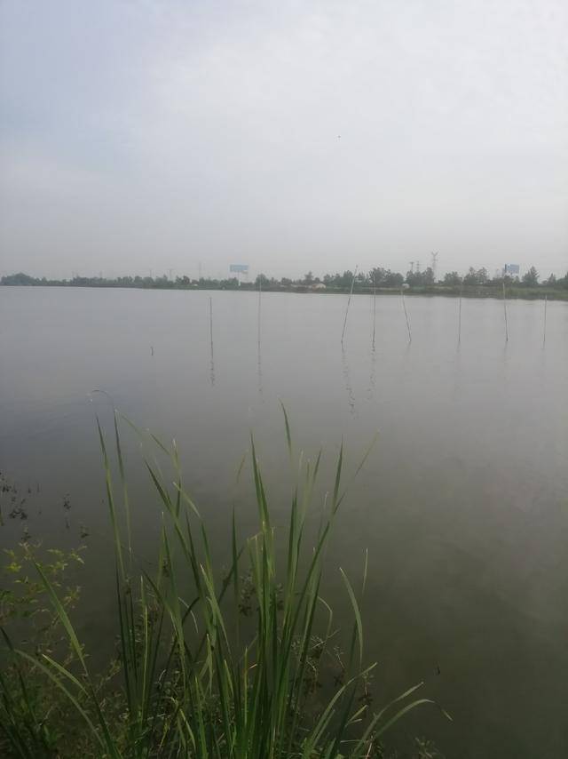 7fb266bd9b3942408b124be5709fa686.jpeg