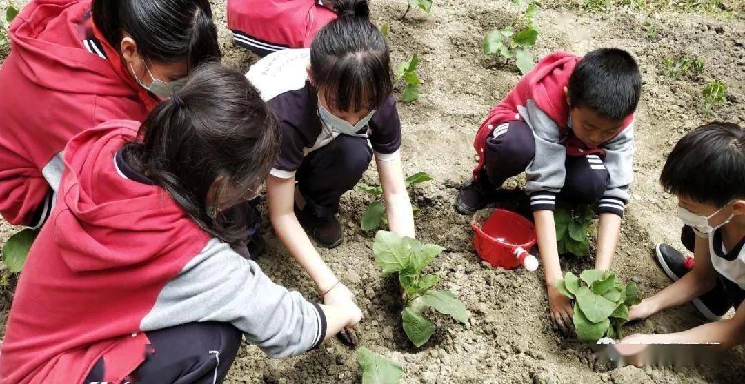 在学校"种地"体验真人版"开心农场"丨三原"农庄课程"开课啦!