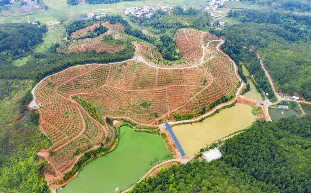 上杭gdp_上杭张庆林(2)