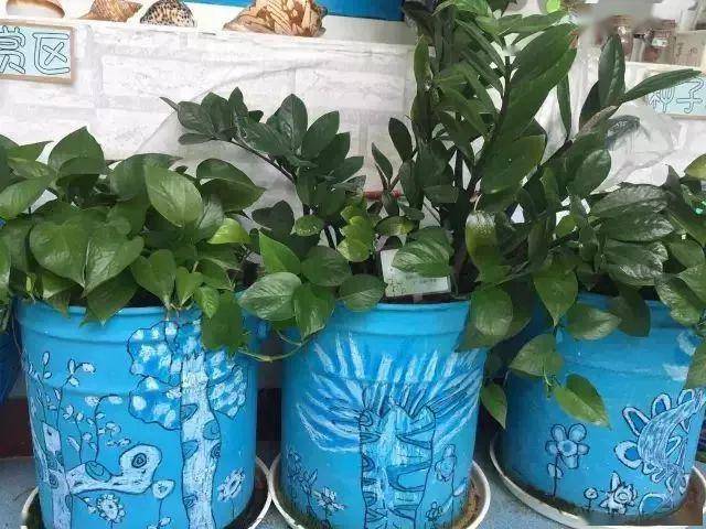 「植物」让种植成为孩子探索自然的起点！【植物角】60种植物角新玩法