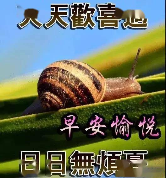 321b4e825a8c4237a66f21ea055dbca1.jpeg