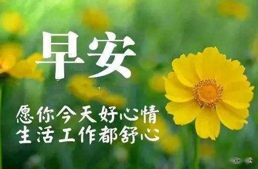 44a68c73c75a44b387ac86c556f778bc.jpeg