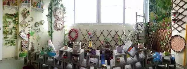 「植物」让种植成为孩子探索自然的起点！【植物角】60种植物角新玩法