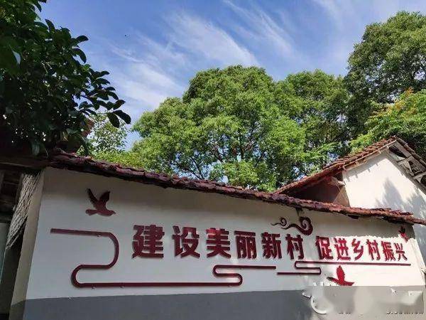 荆岗村人口_秦许乡扎那村人口(2)
