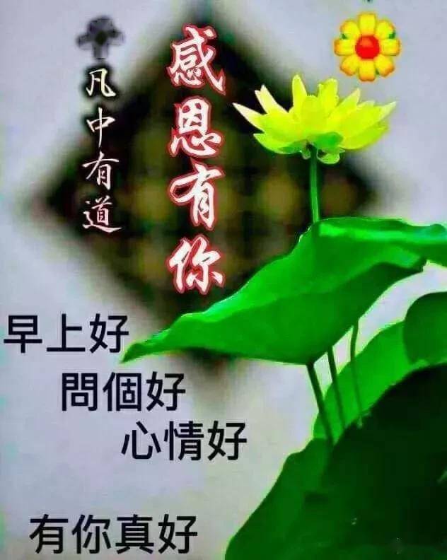 一声问候,送来温馨甜蜜;一条信息,捎去我万般心意,早安