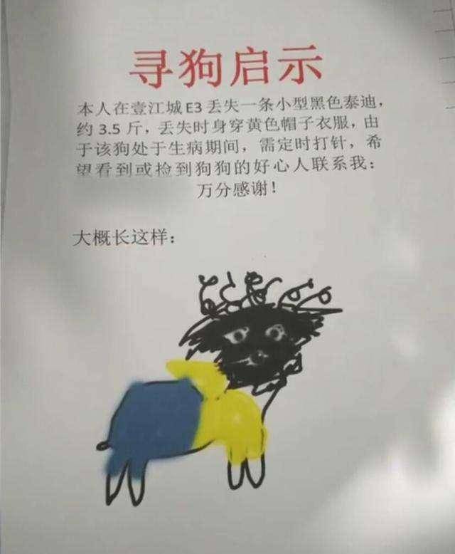 看完这些寻狗启事我好像知道狗子为什么要离家出走了