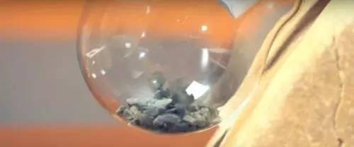 「植物」让种植成为孩子探索自然的起点！【植物角】60种植物角新玩法