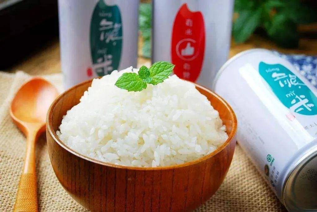 英语萌萌画rice米饭