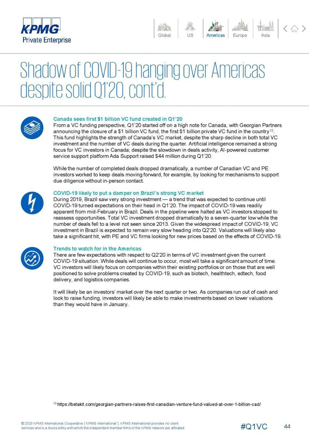 2020英国国第一季度g_英国短毛猫