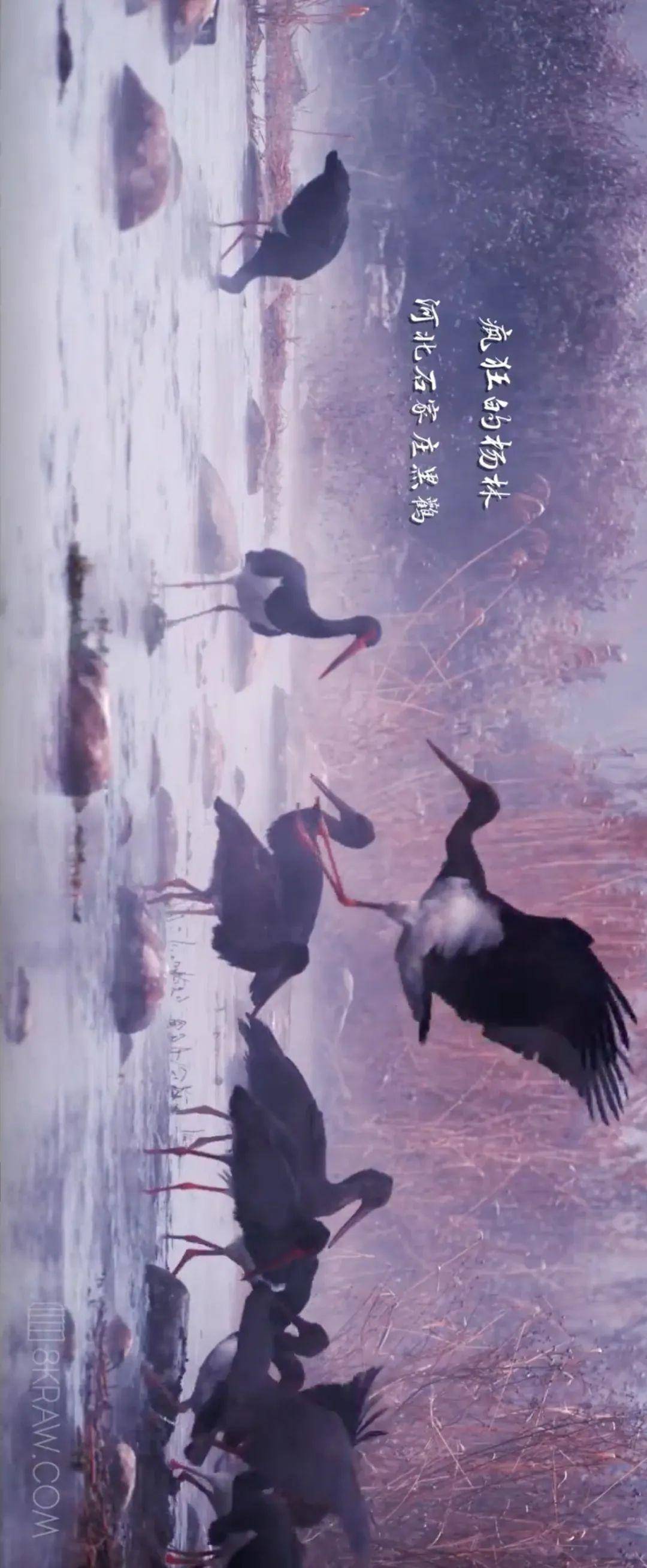 99.99%的司机都想自驾去这些地方！