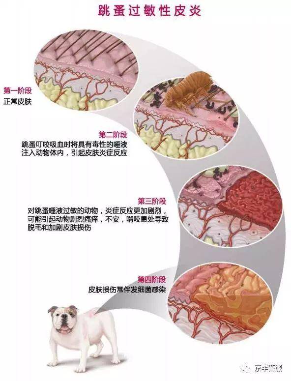 这些迹象,可能是感染了寄生虫!