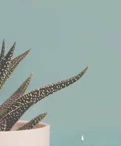 瘟疫调节人口_瘟疫医生