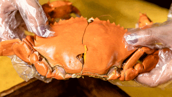 28ec30e328a4487a96a12efcb7b42609.gif