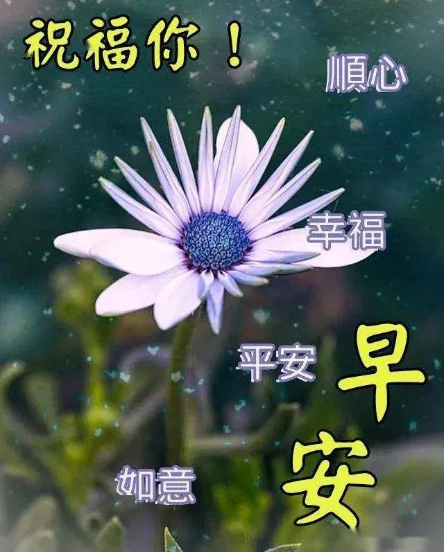 星期天清晨漂亮早上好问候表情图片带字,早晨好问候暖